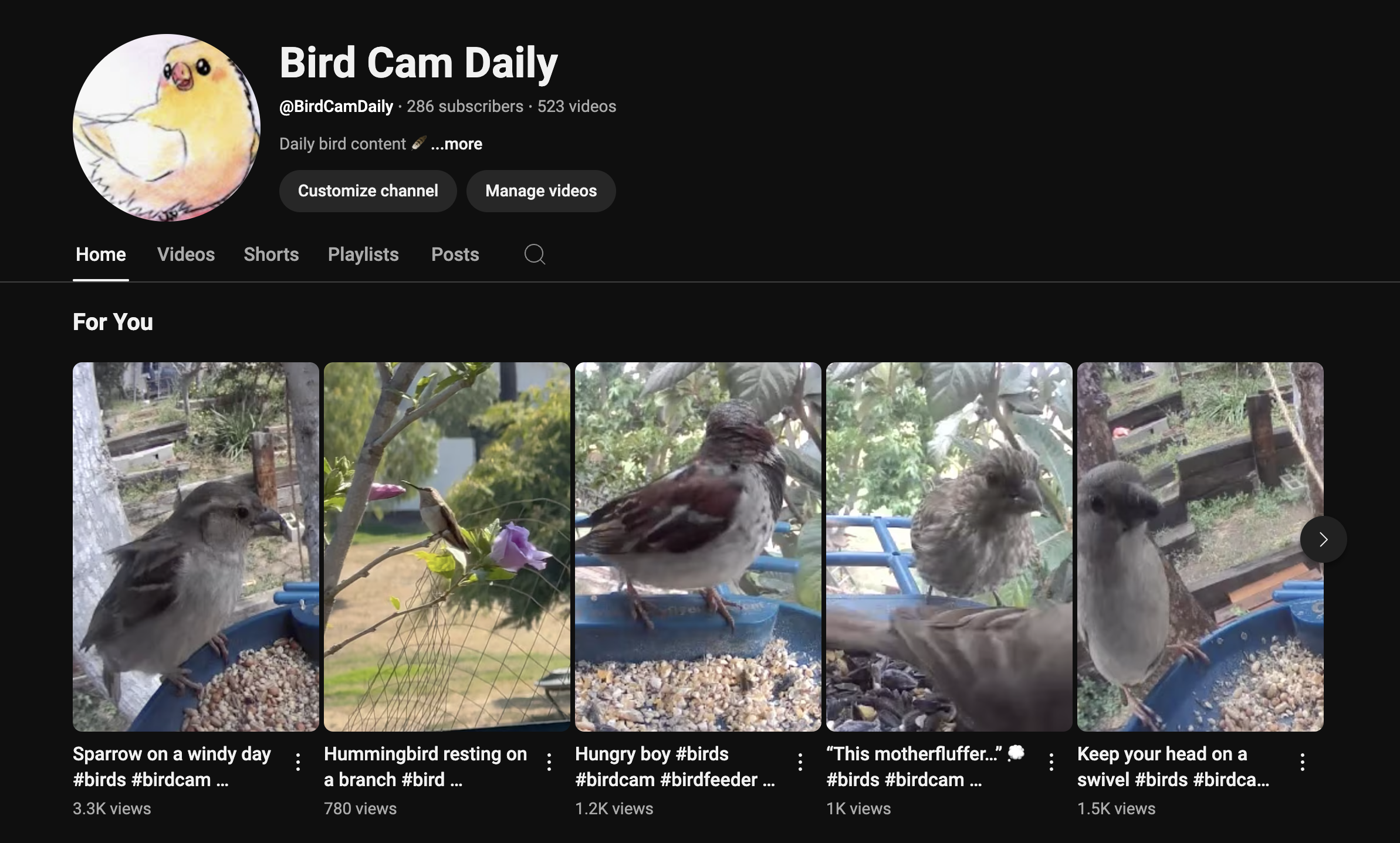 I have a bird channel on YouTube 🐦‍⬛