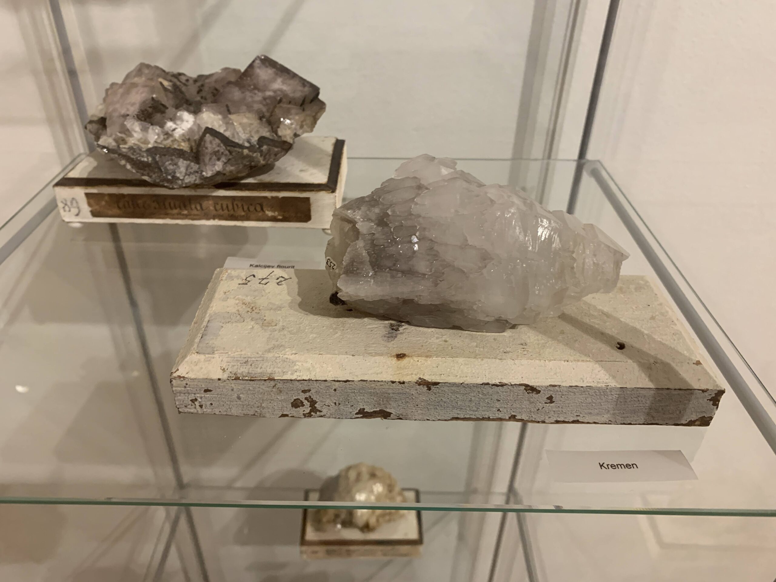 5 Journal Prompts for Clarity and Focus