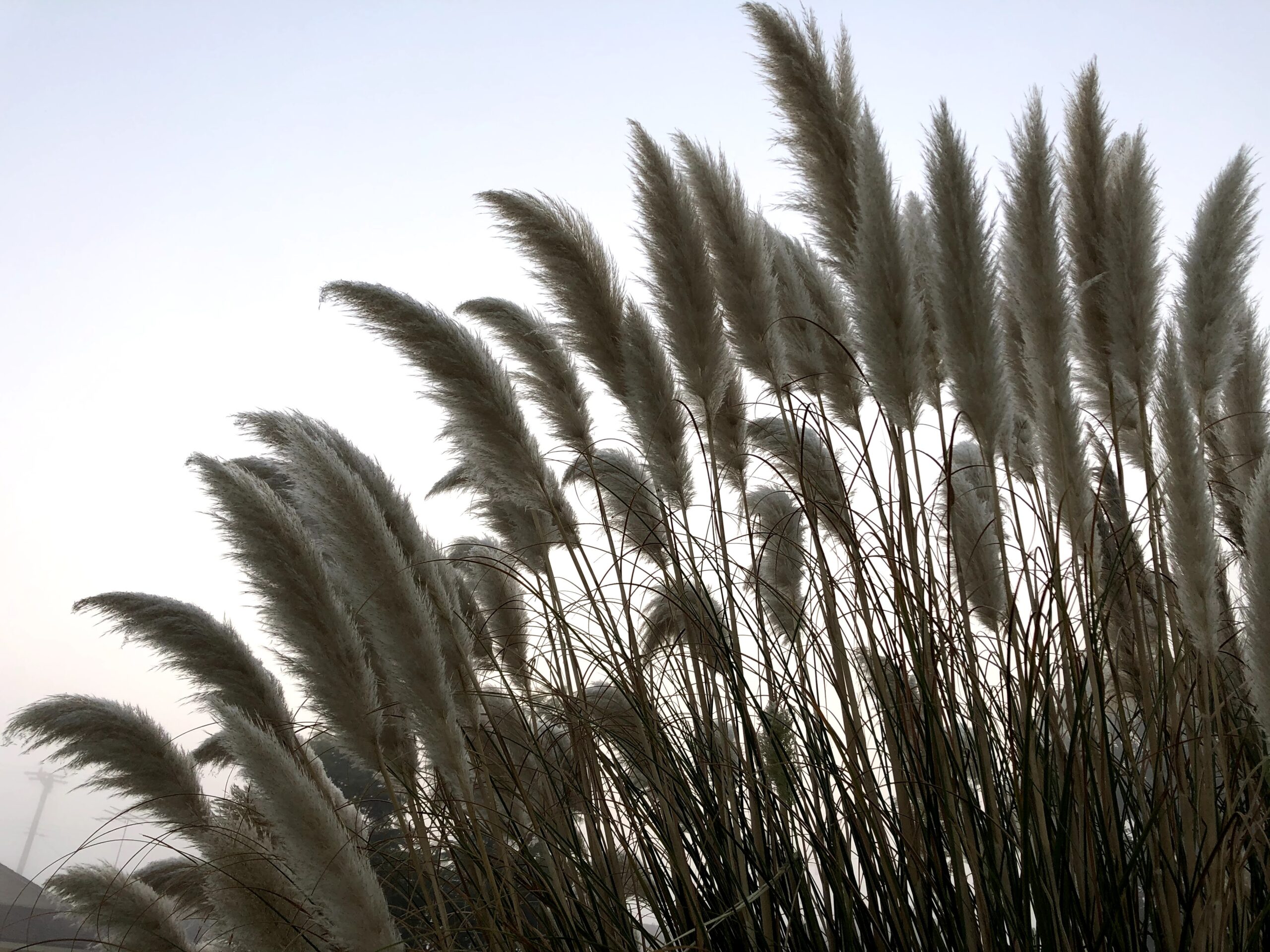 5 Journal Prompts for a Values-Led Life