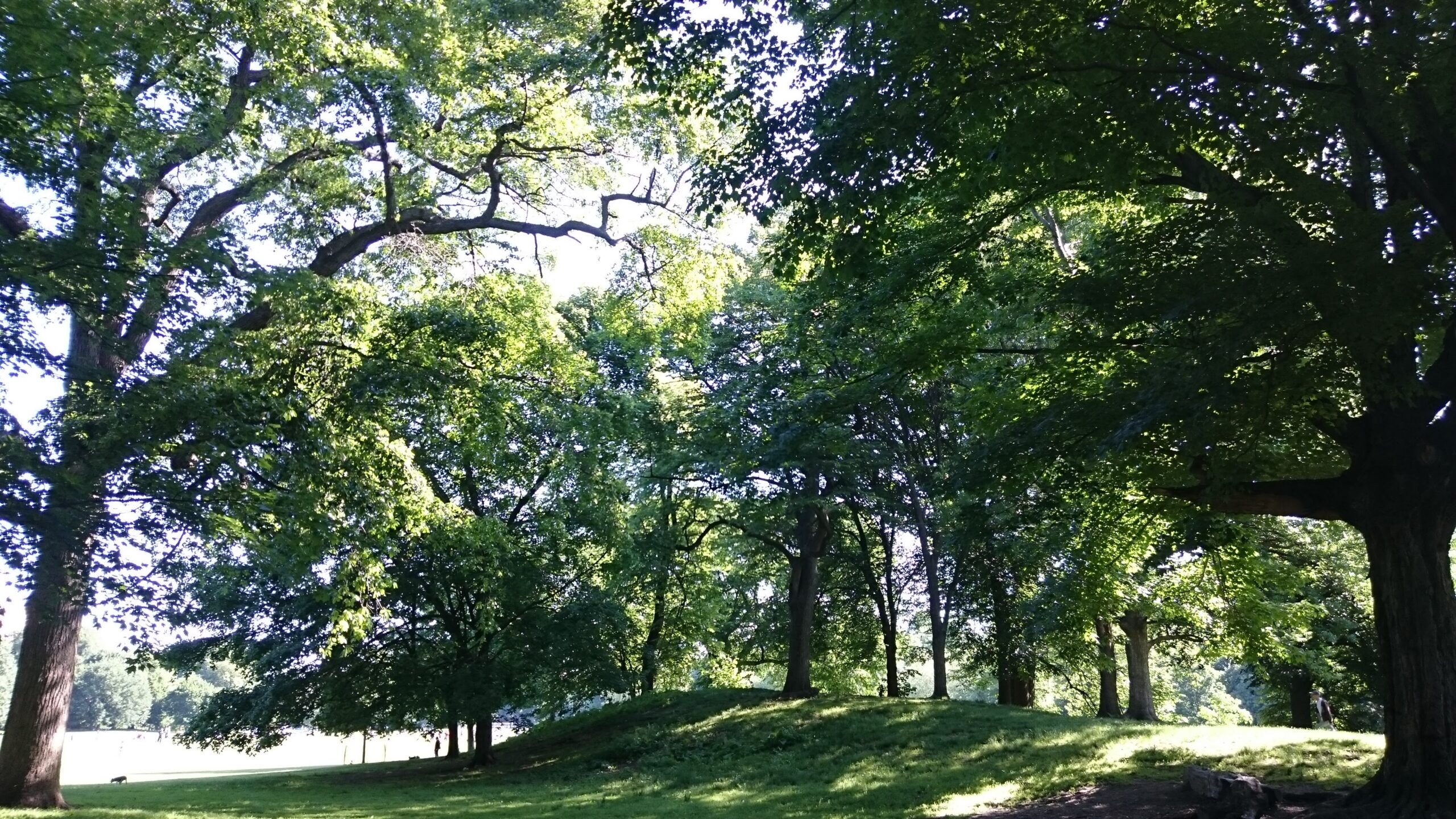 Thomas Jefferson’s Decalogue of Canons for observation in practical life