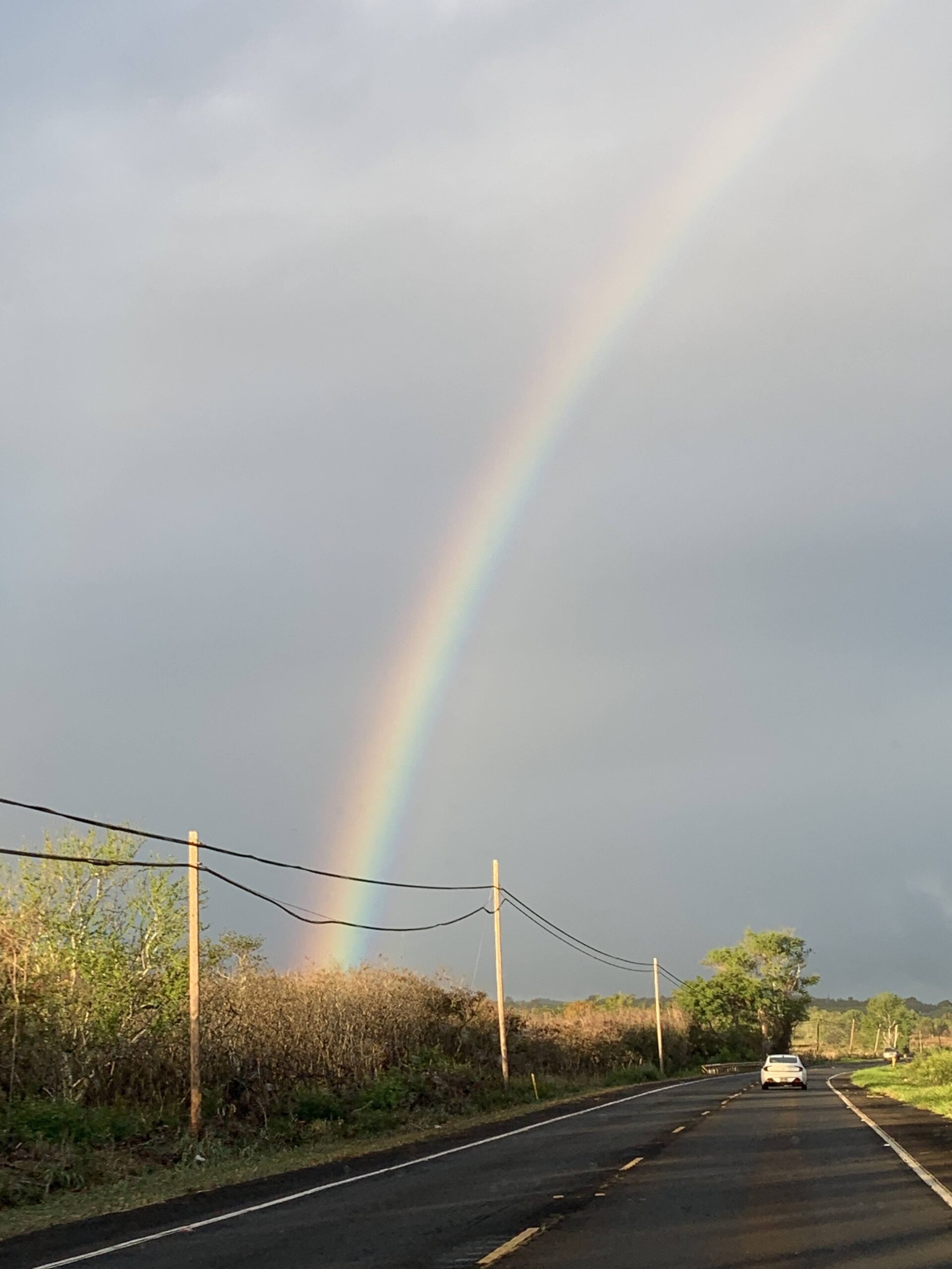 Key Points from 4 Hour Work Week by Tim Ferriss