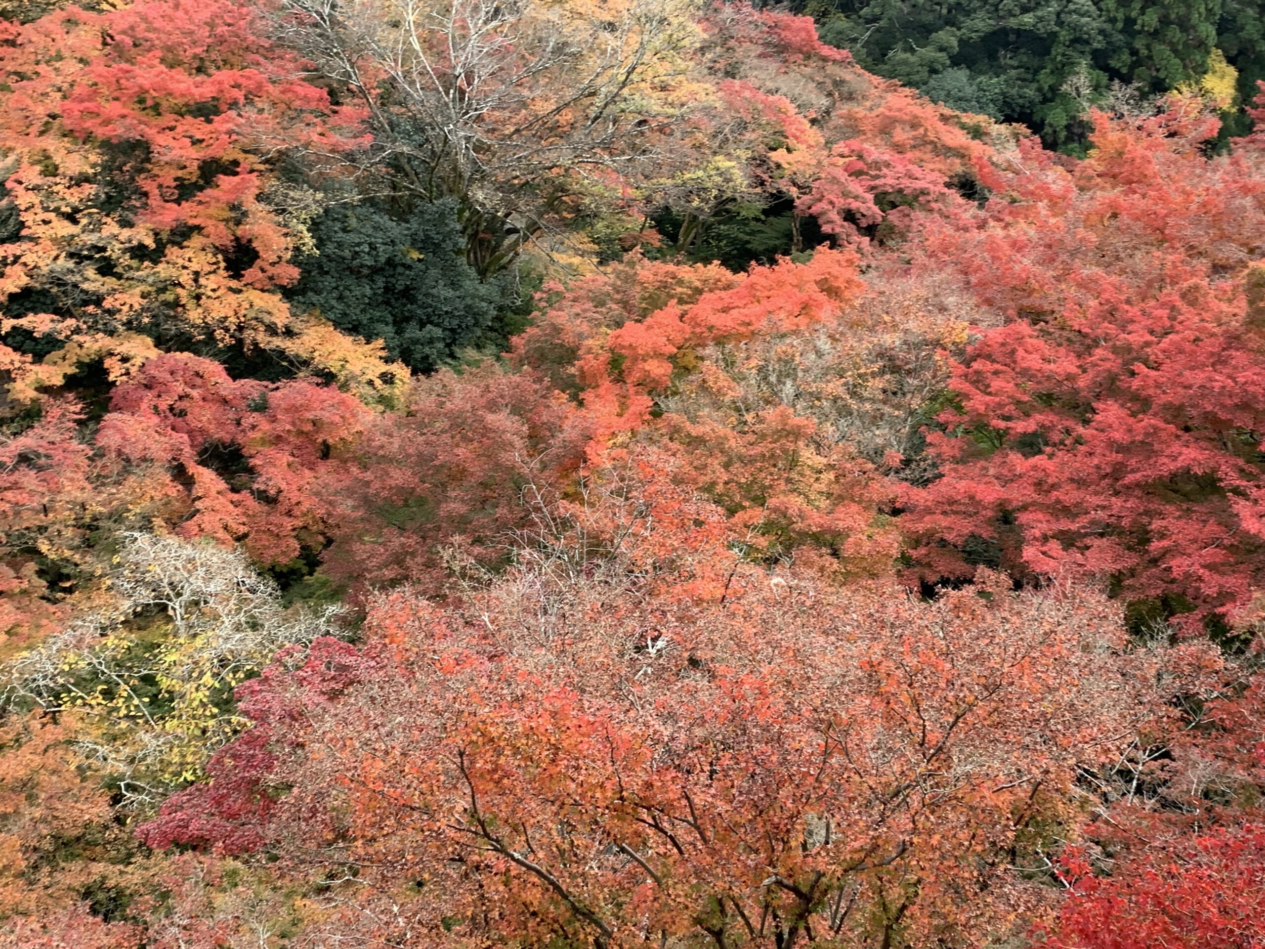 5 (Stupidly) Simple Time Management Tips