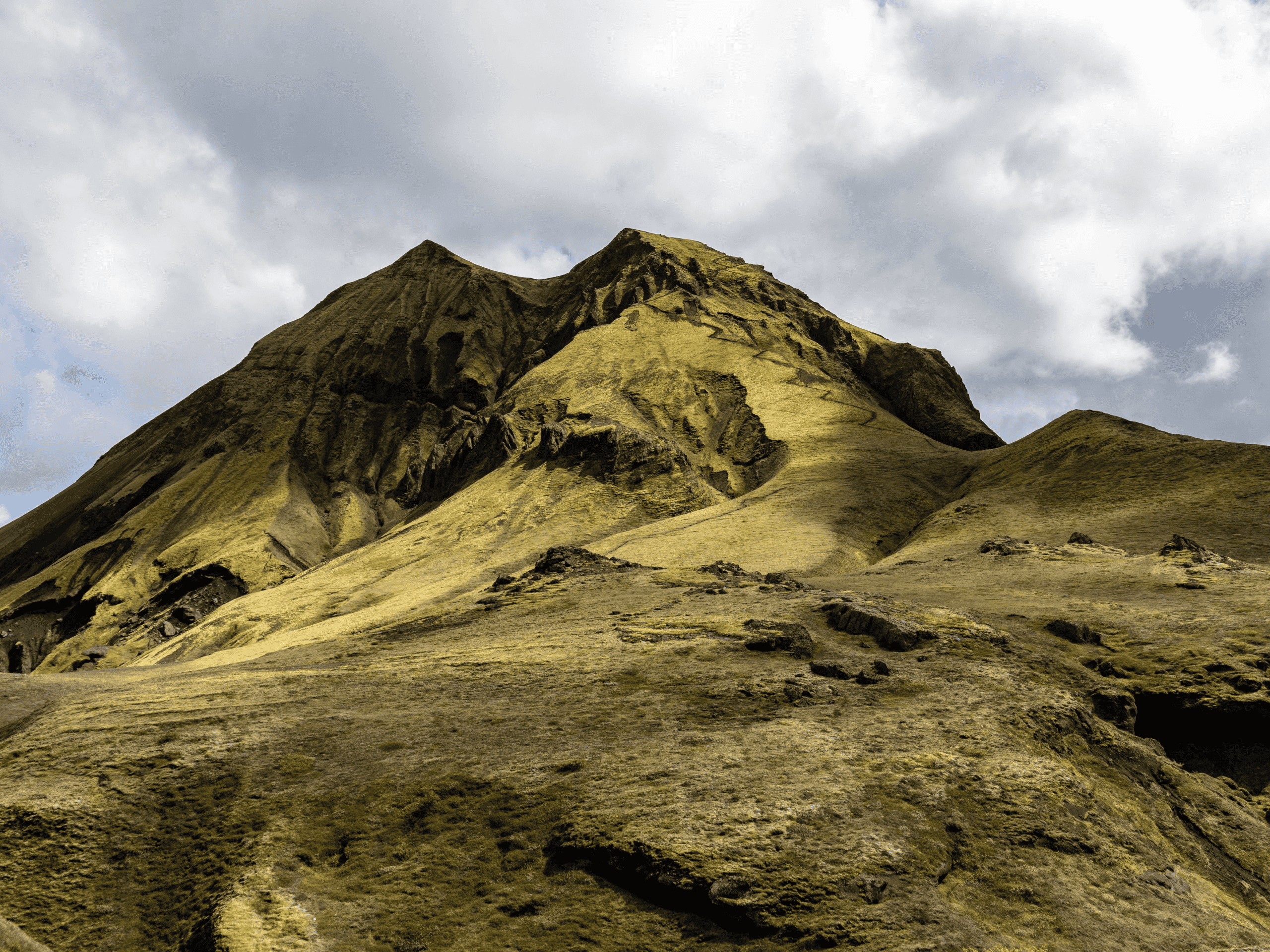 What’s Your Misogi? Create a Life-Defining Challenge for 2026